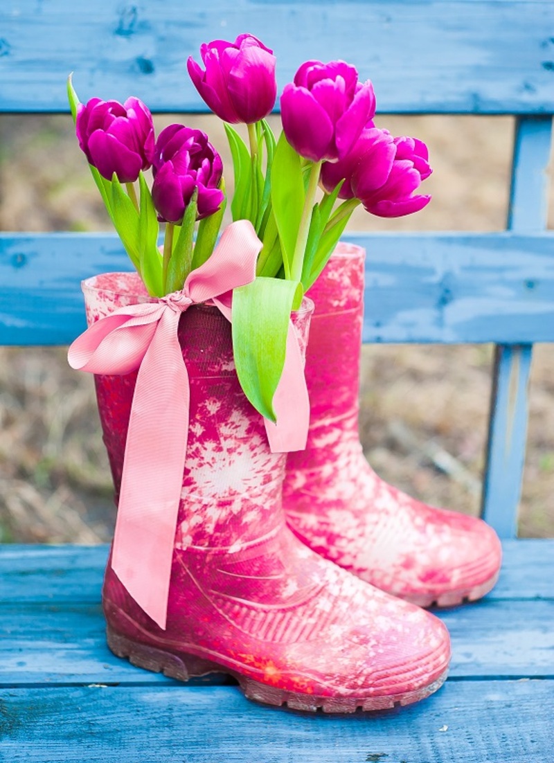 flowers  / Blue flowers flowers  / Pink flowers