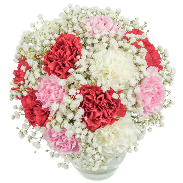 Displayed on a spotless white backdrop, this lavish bouquet-hand-assembled with care by local Lea Bridge florists-calls to mind community gardens and cheerful spring days along the River Lea. Plump, ruffled carnations in three harmonious colours-deep red, gentle pink, and creamy white-cluster tightly to form an abundant, nearly spherical composition, their rich textures inviting closer admiration. Interlaced throughout the arrangement, countless petite blossoms of baby's breath (Gypsophila) create a floating, cloudlike veil that lends a sense of whimsy and soft romanticism. The stems are gathered together and gracefully set in a simple, clear glass vase, its base hinting at the water that keeps every flower fresh for delivery across Lea Bridge. Captured from a softly elevated viewpoint, the vivid shades and tactile contrasts of the carnations and gypsophila are heightened under bright, natural light-each bloom contributing to a harmonious, balanced impression. This classically styled bouquet carries deep meaning within the neighbourhood, symbolising love, purity, and admiration, and is an ideal floral gift for life's special occasions-anniversaries, birthdays, or as a gracious gesture of gratitude among friends and neighbours in Lea Bridge.