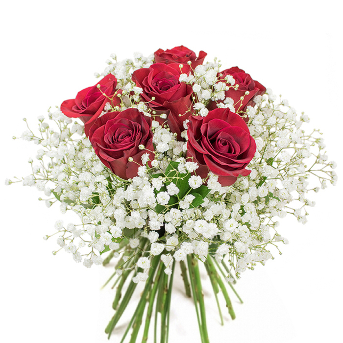 Graceful and understated, this floral arrangement draws its beauty from the interplay of six sumptuous, full-bodied red roses and a cloudlike surround of delicate white gypsophila. The roses themselves, bursting with velvety crimson depth, evoke the romance and history that is woven into the fabric of Lea Bridge, from its leafy pesestrian paths to the gentle curve of the River Lea nearby. Cascading around the central blooms, the small, pristine baby's breath flowers create a soft, airy effect, their purity brightening the bouquet and mirroring early morning mists rising over Lee Valley Park. Neatly bundled at the base, the fresh green stems recall a sense of abundance and expert care-a hallmark of skilled Lea Bridge florists who source only the best blooms for every occasion. Presented against a clean white background, the arrangement's form and detail are illuminated: the rounded shape, the plush texture, and the lyrical contrast between bold red and gentle white. This bouquet's gentle fragrance-rosy and subtly sweet-pairs with its visual harmony to make it ideal for expressing affection or marking a local milestone, whether it's a birthday, romantic gesture, or thoughtful recognition of someone dear in Lea Bridge. In every nuance, the flowers pay tribute to both timeless tradition and the distinct character of the Lea Bridge community.