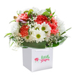 A sense of lighthearted joy and thoughtful care radiates from this bouquet, its colors and textures reminiscent of blossom-filled mornings around Lea Bridge. Rich coral and soft peach carnations take center stage, each bloom's ruffled petals brimming with cheerful vitality. White daisies with vibrant yellow-green centers bring brightness and contrast, while dainty sprigs of gypsophila seem to dance through the arrangement like tiny clouds. Purple-tinged buds peek shyly from between the flowers, their presence whispering of new beginnings waiting to unfold along the lively footpaths of Millfields Park and the River Lea. Deep, glossy green leaves form a lush, embracing collar, framing the bouquet in natural elegance. All is presented within a pristine white gift bag - its ribbon handles hinting at a gift soon to brighten a neighbour's day. Illuminated by soft, even light, each petal and stem reflects the freshness and refinement achieved by the passionate Lea Bridge florists. Ideal for birthdays, anniversaries, or touching surprises, this arrangement is a testament to both joyful local spirit and expert craftsmanship, ready to spread happiness throughout the community.