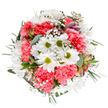 This arrangement is a joyful reflection of Lea Bridge's lively floral spirit, carefully brought together with an expert eye for balance and emotion. Open-faced white daisies, radiating from vivid green centers, bask in the heart of the design, their cheerfulness complemented by the invitation of plush coral-pink carnations swirling around them. Drifting gently are fine sprays of gypsophila, whose tiny white flowers lend the bouquet an airy, celebratory feel, evocative of early spring days in nearby marshes. Slender buds of alstroemeria, touched in purple and rich blush, peek between the blossoms, promising the slow unfolding of beauty with time. Eucalyptus leaves and rich, varied greenery provide not only structure but a cool freshness that rounds out the ensemble. The arrangement's overall harmony suggests both careful florist's touch and a love for the textures and colors found in everyday life around Lea Bridge. This bouquet would be perfectly at home on a bedside, in an office, or as a surprise for someone in need of comfort, carrying the warmth and optimism of a carefully curated local floral gift.